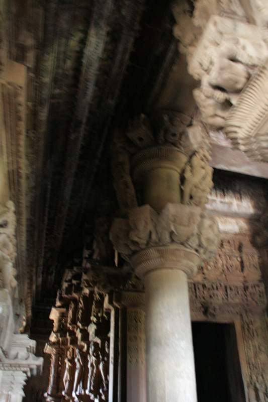 India & Nepal 2011 - 0896